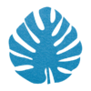 prachtige lichtblauwe vilt onderzetter in de vorm van een monstera blad bij mijnonderzetters.nl webshop