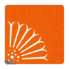 Vierkante vilt onderzetters in de kleur oranje met een zonnebloem motief bij mijnonderzetters.nl webshop