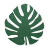 prachtige donkergroene vilt onderzetter in de vorm van een monstera blad bij mijnonderzetters.nl webshop