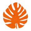 prachtige oranje vilt onderzetter in de vorm van een monstera blad bij mijnonderzetters.nl webshop