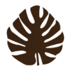 prachtige donkerbruine vilt onderzetter in de vorm van een monstera blad bij mijnonderzetters.nl webshop