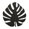 prachtige zwarte vilt onderzetter in de vorm van een monstera blad bij mijnonderzetters.nl webshop