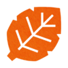 Prachtige en decoratieve blad onderzetter vilt in de kleur oranje van mijnonderzetters.nl