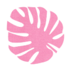 Prachtig vormgegeven sierkleed / tafelkleed van vilt in de vorm van een monstera blad, de roze Sierkleed monstera Vilt van mijnonderzetters.nl